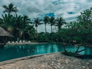 Assurance décennale pour l'installation de piscines naturelles ou biologiques